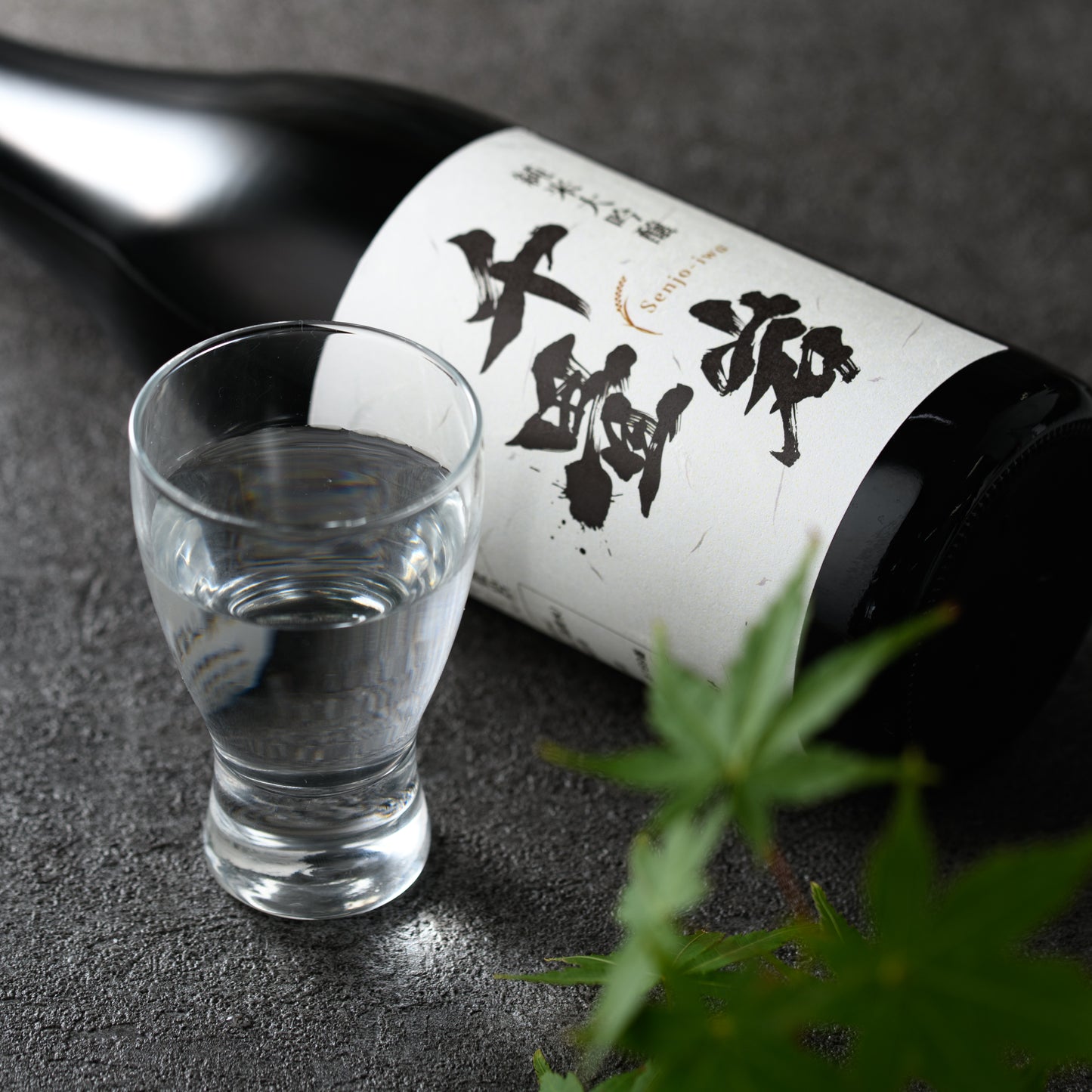 純米大吟醸 千畳岩